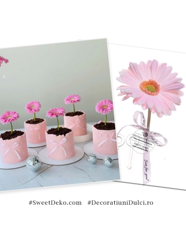 Decor floare gerbera roz cu 2 agrafe prindere