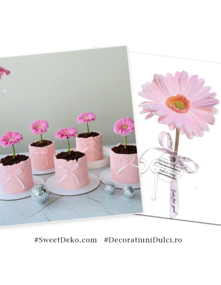 Decor floare gerbera roz cu 2 agrafe prindere
