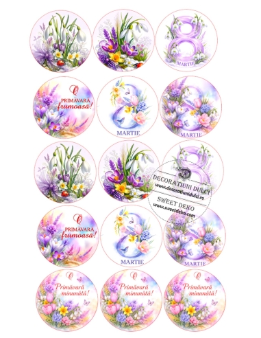 Flori de Martie, decor pastel pentru briose