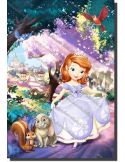 Sofia (imagini multiple)