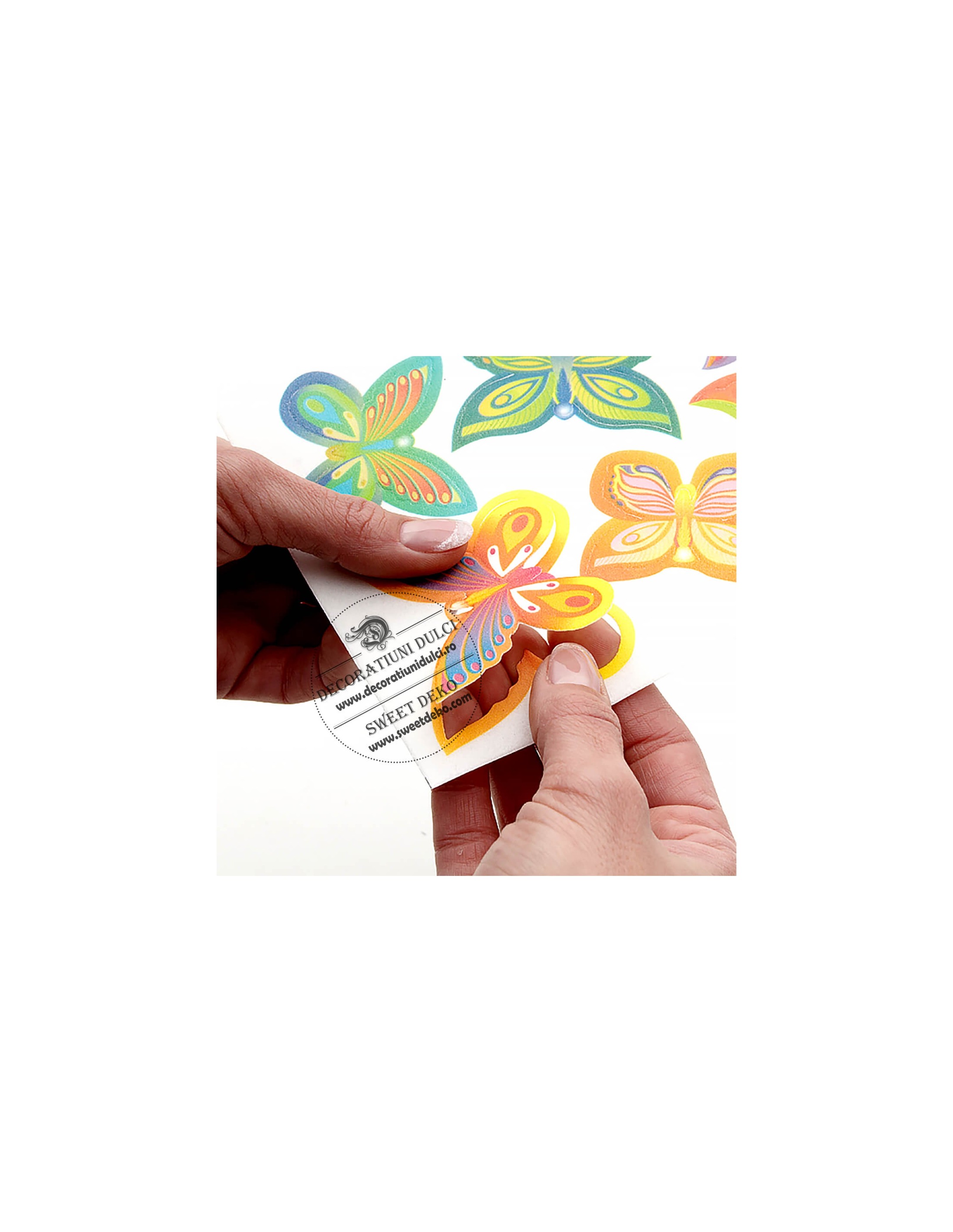 EXP: 06.04.2026 Fluturasi din vafa, predecupati Modecor - portocalii - verzi