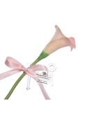 Decor lateral cala roz cu 2 agrafe prindere