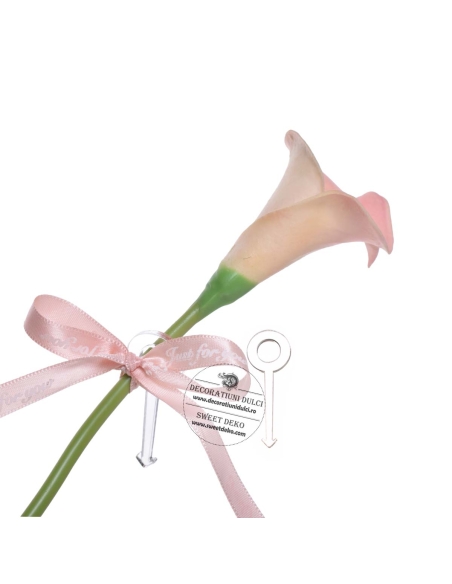 Decor lateral cala roz cu 2 agrafe prindere