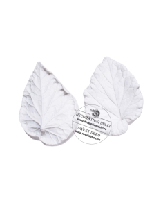 Mulaj frunze cu nervuri detaliate (veiner)