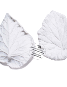 Mulaj frunze cu nervuri detaliate (veiner) 2