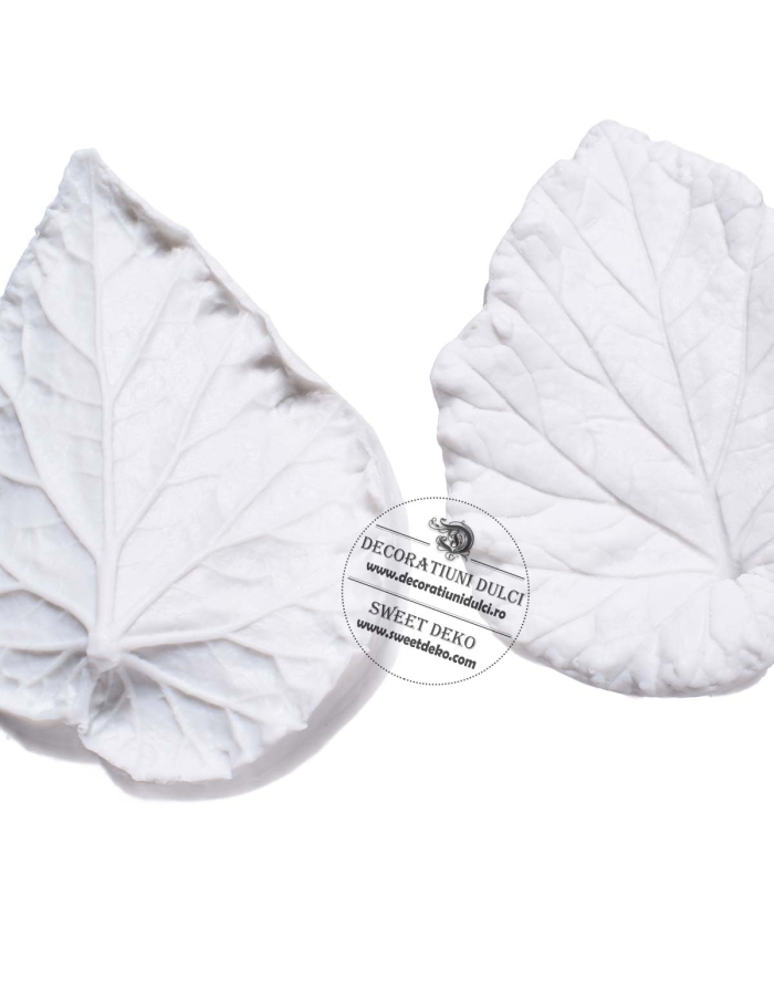 Mulaj frunze cu nervuri detaliate (veiner)