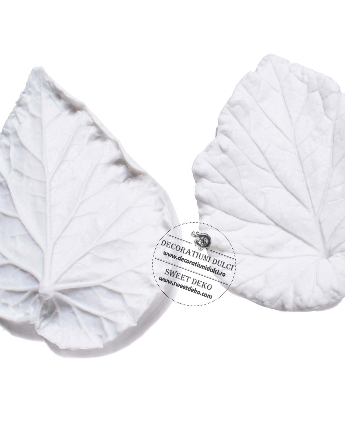 Mulaj frunze cu nervuri detaliate (veiner)