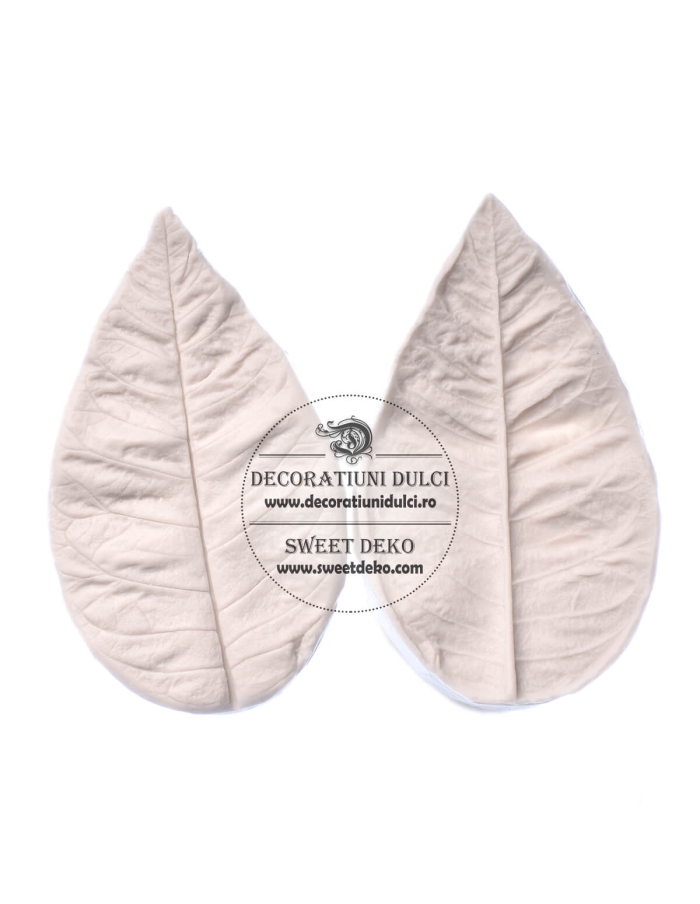 Mulaj nervuri frunza/petala mare (9.4 cm) Craciunita