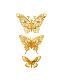 Fluturi Vintage Lace  3 modele | dimensiuni