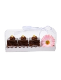 Cutie dreptunghiulara din acetat cu suport carton (28x11cm, h. 10cm)