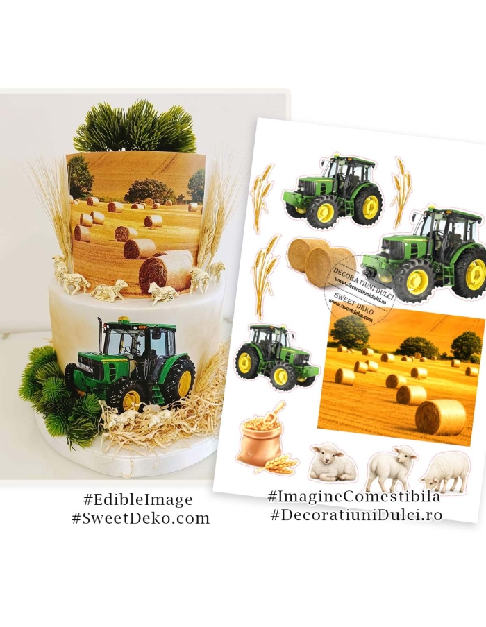 Fashion - Imagine comestibila | Decoratiuni Dulci