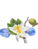 Topper flori - Vis Mediteranean