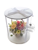Cutie tort rotunda | Nature LIGHT