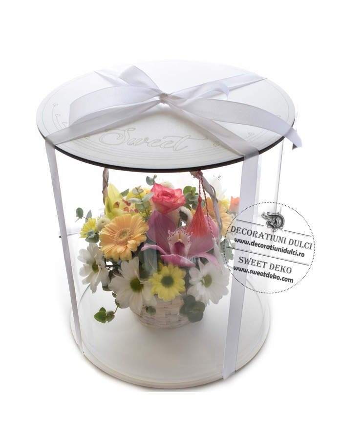 Cutie tort rotunda | Nature LIGHT