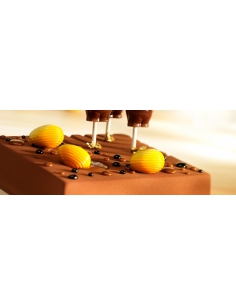 EXP: 30.09.2026 Crema caramel fill, Barry Callebaut, 5kg 2
