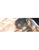 EXP: 30.09.2026 Crema caramel fill, Barry Callebaut, 5kg