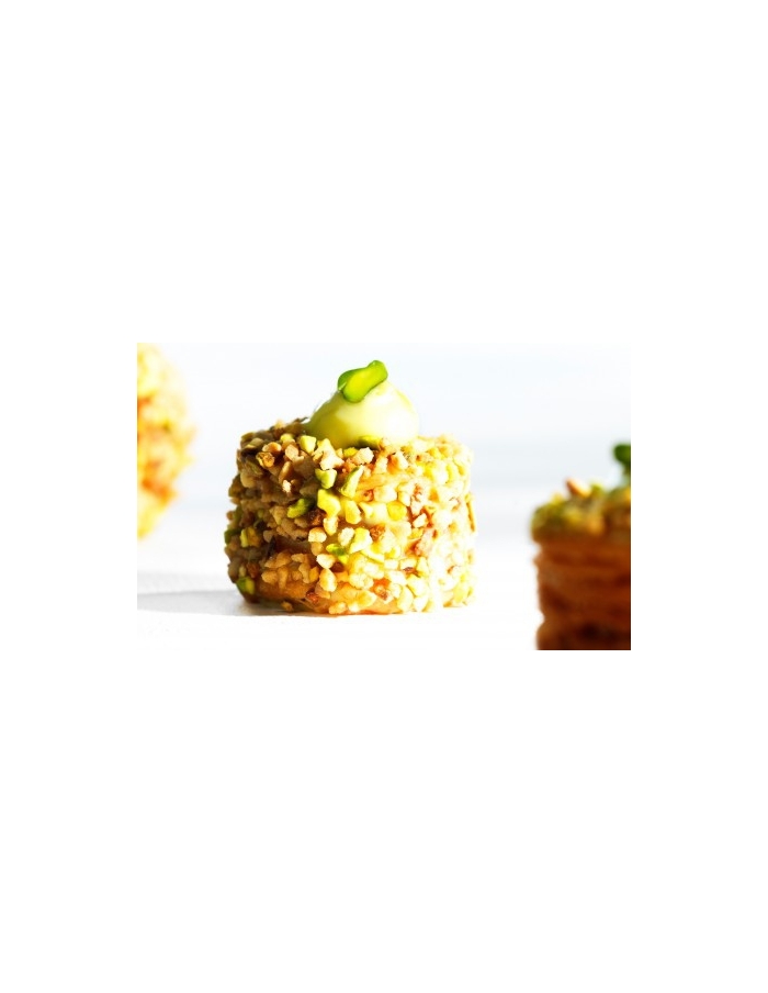 EXP: 05.11.2026 Fistic caramelizat, pistachio bresilienne Callebaut