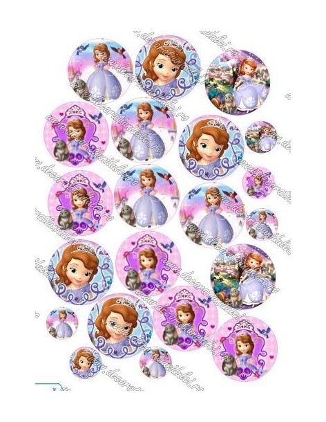 Cerculete cu Sofia - 1 2