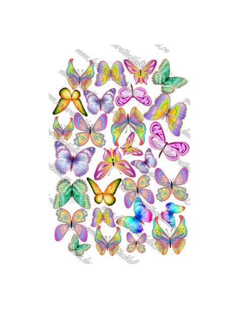 Imagine comestibila fluturi - 7 2