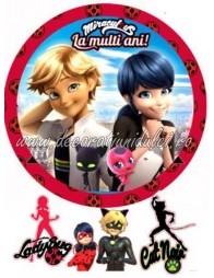 Imagine comestibila Buburuza si Motan Noir - 3