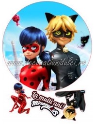 Imagine comestibila Buburuza si Motan Noir - 5