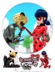 Imagine comestibila Buburuza si Motan Noir - 6