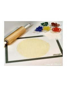 Plansa FiberGlass5 Silikomart 2