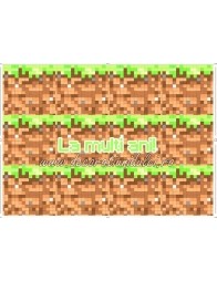 Imagine comestibila benzi  Minecraft