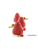 Mulaj Mora&Lampone Silikomart | Decoratiuni Dulci