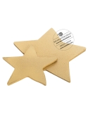 Colorant pulbere auriu 25 gr, Modecor