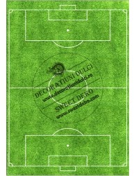 Imagine comestibila carte de identitate - 2 | Decoratiuni Dulci