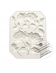 Mulaj trandafiri si boboci