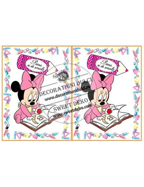 Prima zi de scoala cu Minnie 2