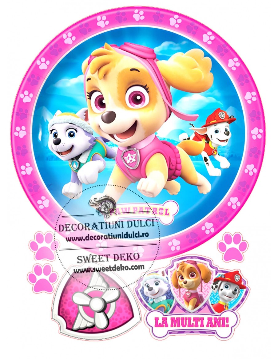 Poza rotunda, tort cu Sky