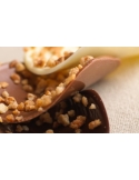 Alune de padure caramelizate, hazelnut bresilienne Barry Callebaut