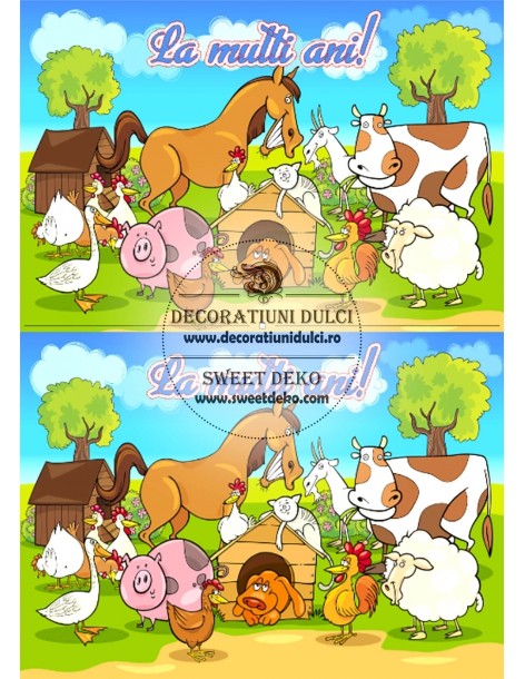 Imagine comestibila: animalutele domestice 2