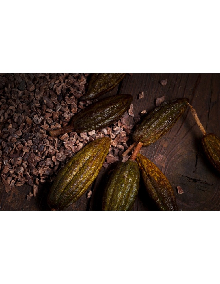 Cacao nibs Callebaut