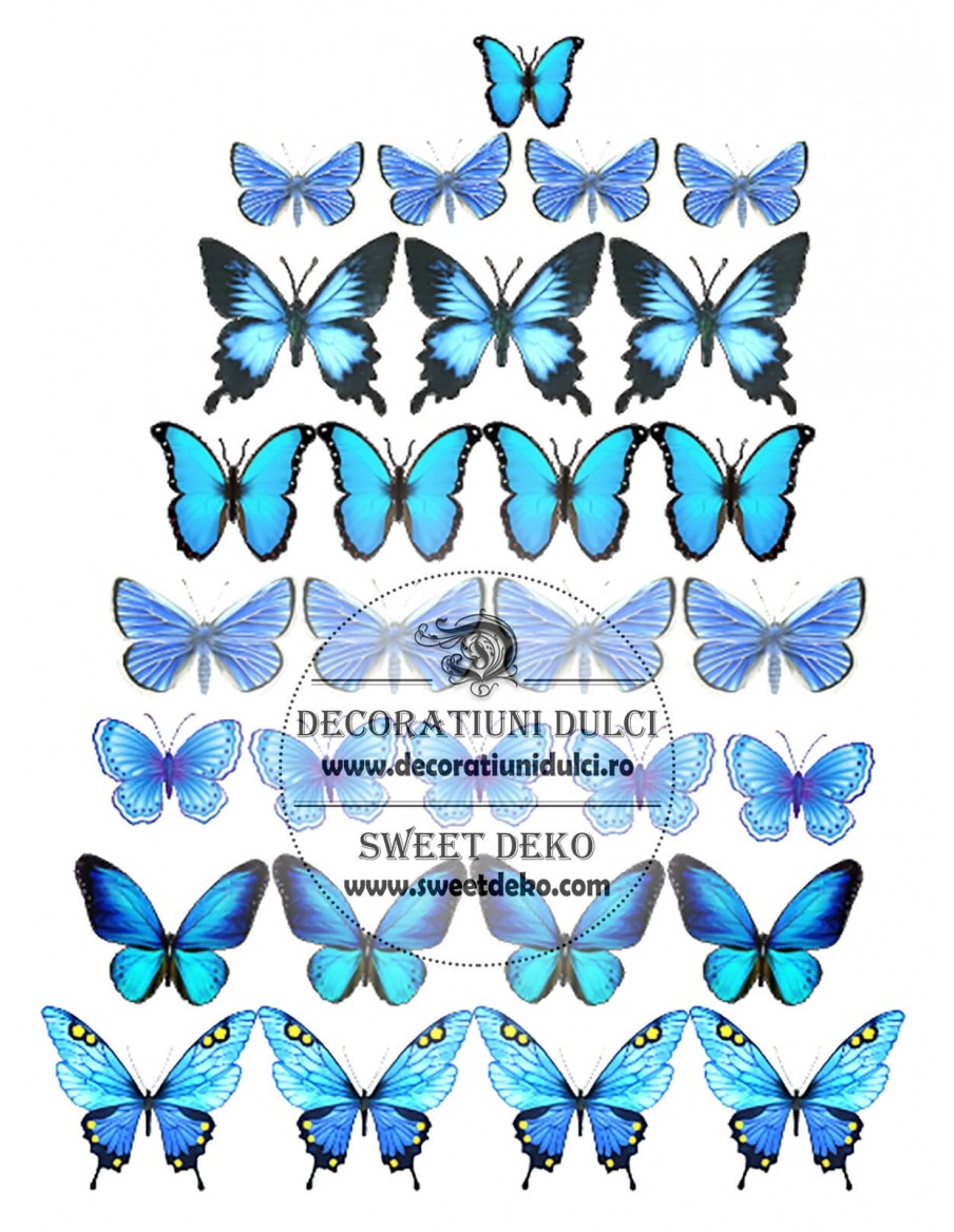Imagine comestibila fluturi albastri
