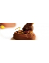 Crema caramel fill, Barry Callebaut, 5kg