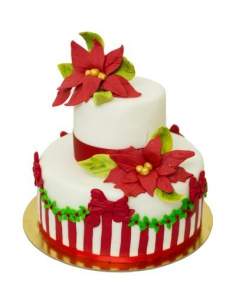 Mulaj nervuri frunza/ petala Craciunita 2