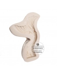 Mulaj coada de sirena