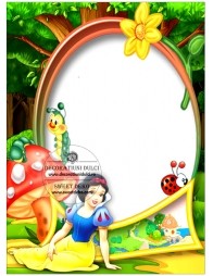 Imagine comestibila carte de identitate - 2 | Decoratiuni Dulci