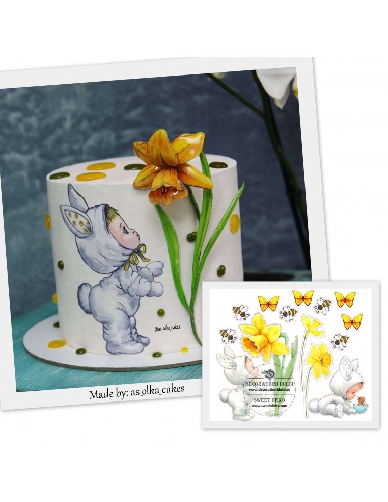 Imagine comestibila baietel iepuras