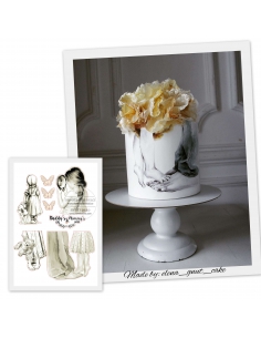 Imagine comestibila, fetita cu oglinda