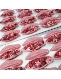 Crispearls Ruby, Mona Lisa Barry Callebaut