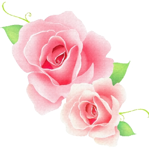 Flori