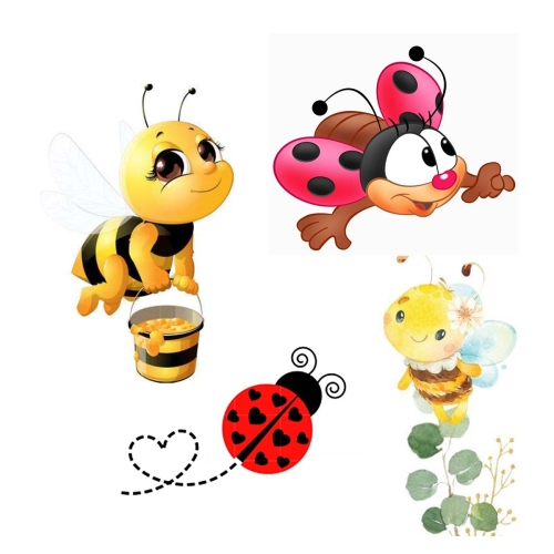 Albinute, buburuze si alte mici insecte