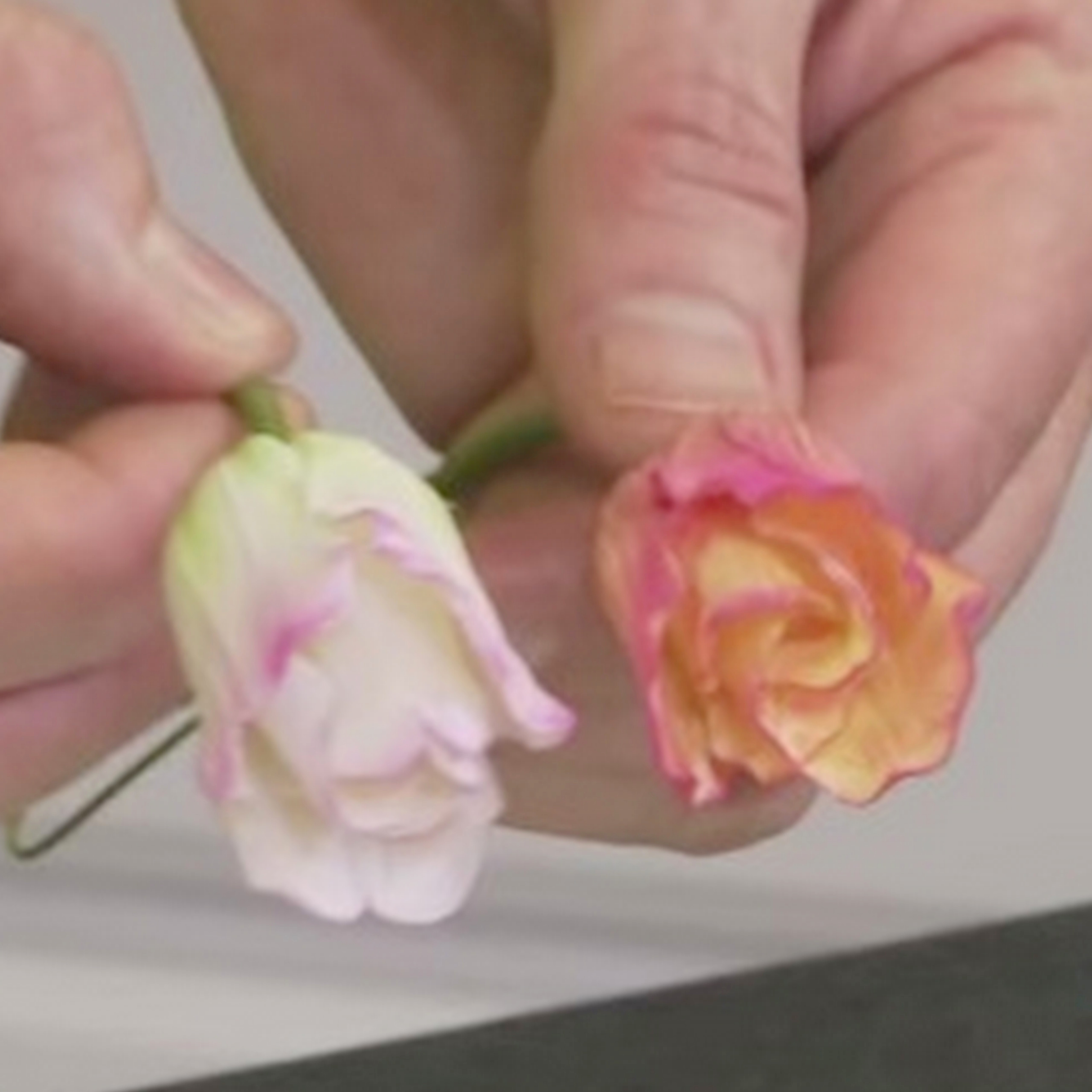  DUST - Cum se aplica